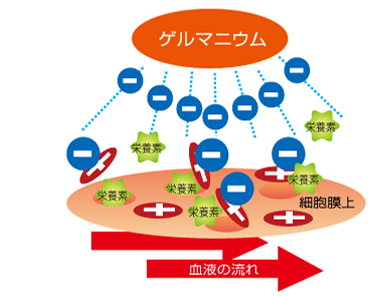 ゲルマニウムの性質