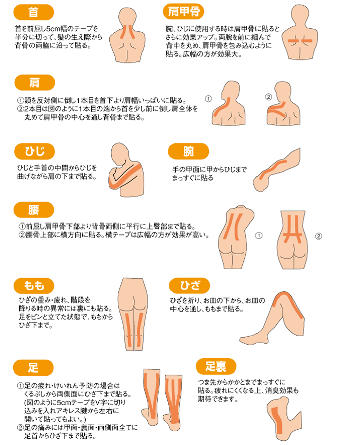 体の各部位の貼り方