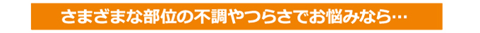 様々な部位の不調やつらさでお悩みの方にオススメ