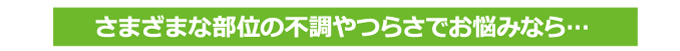 さまざまな部位の不調やつらさでお悩みの方におすすめ