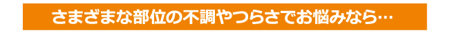 関連商品のご紹介